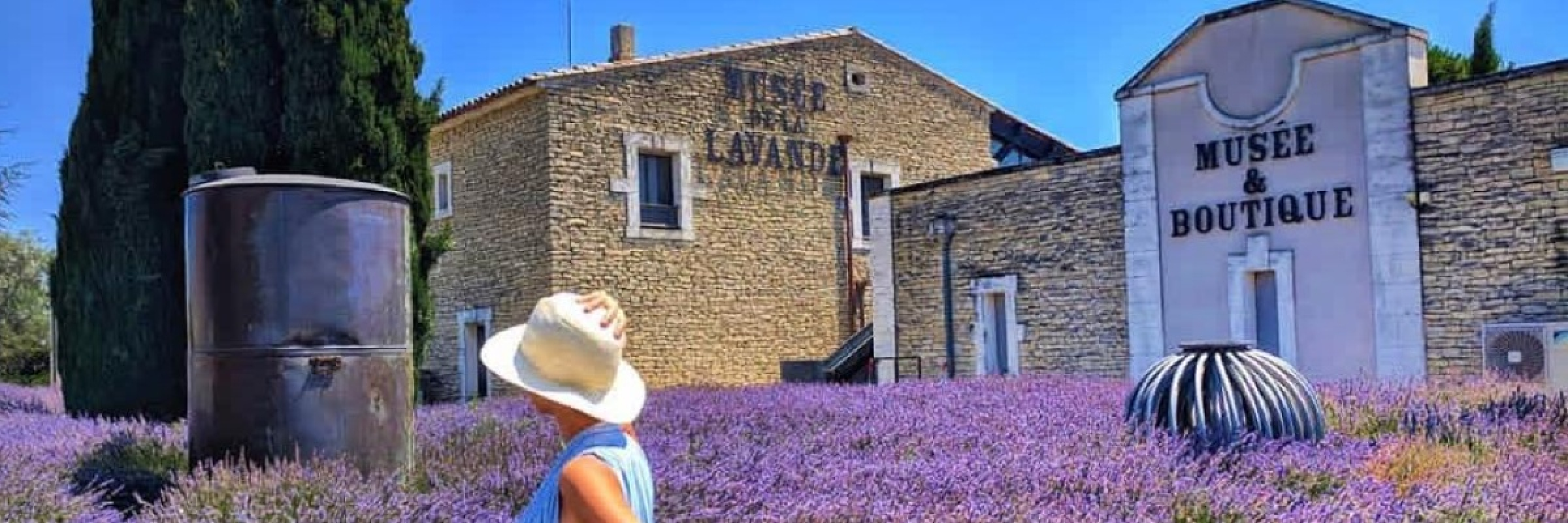 Image de Le parcours passionnant de la Lavande
