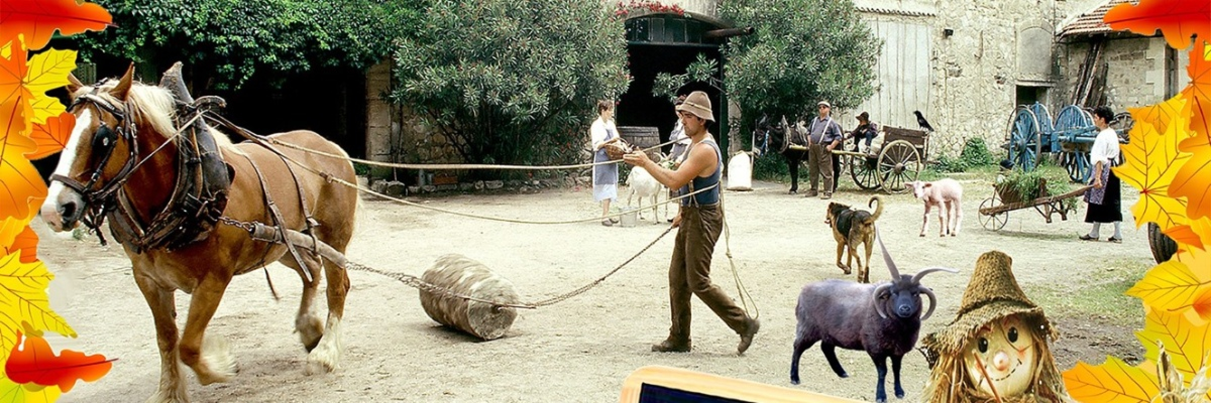 Image de Une expérience exceptionnelle à partager