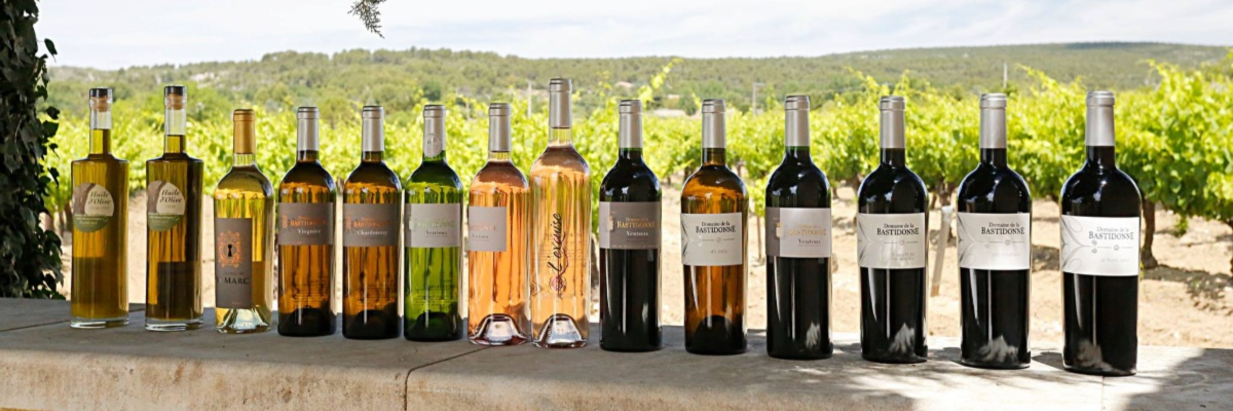 Image de Vignoble depuis 1840