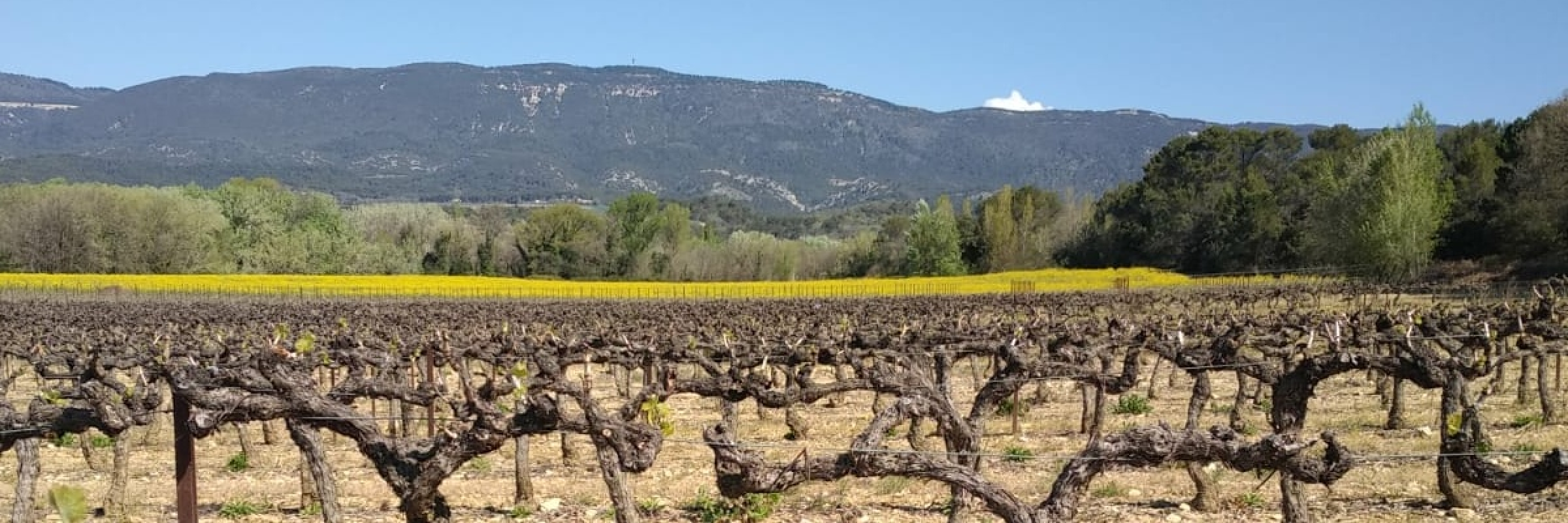 Image de LOUERION Terres d'Alliance