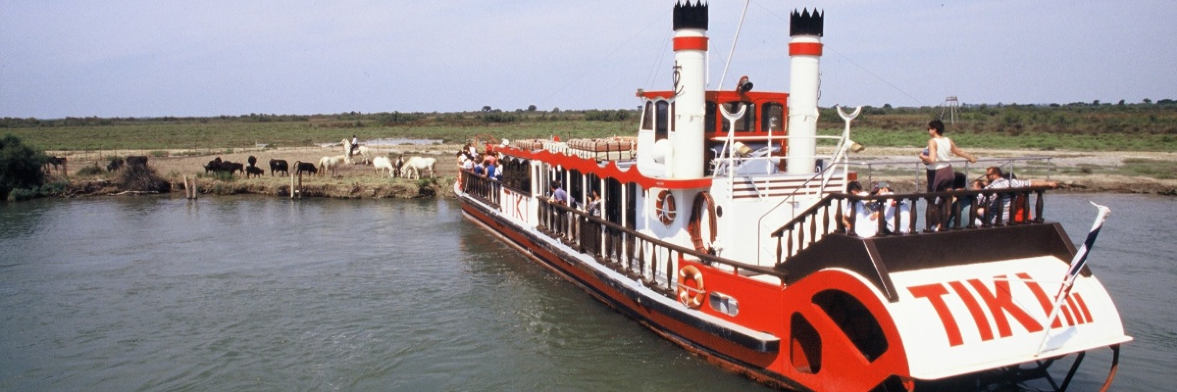 Image de Au coeur de la Camargue