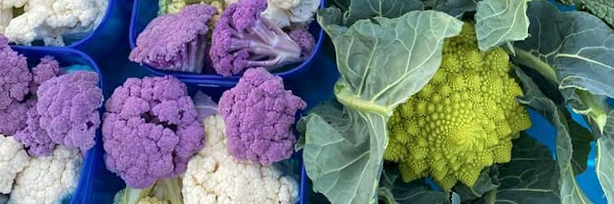 Image de Fiers de nos agriculteurs