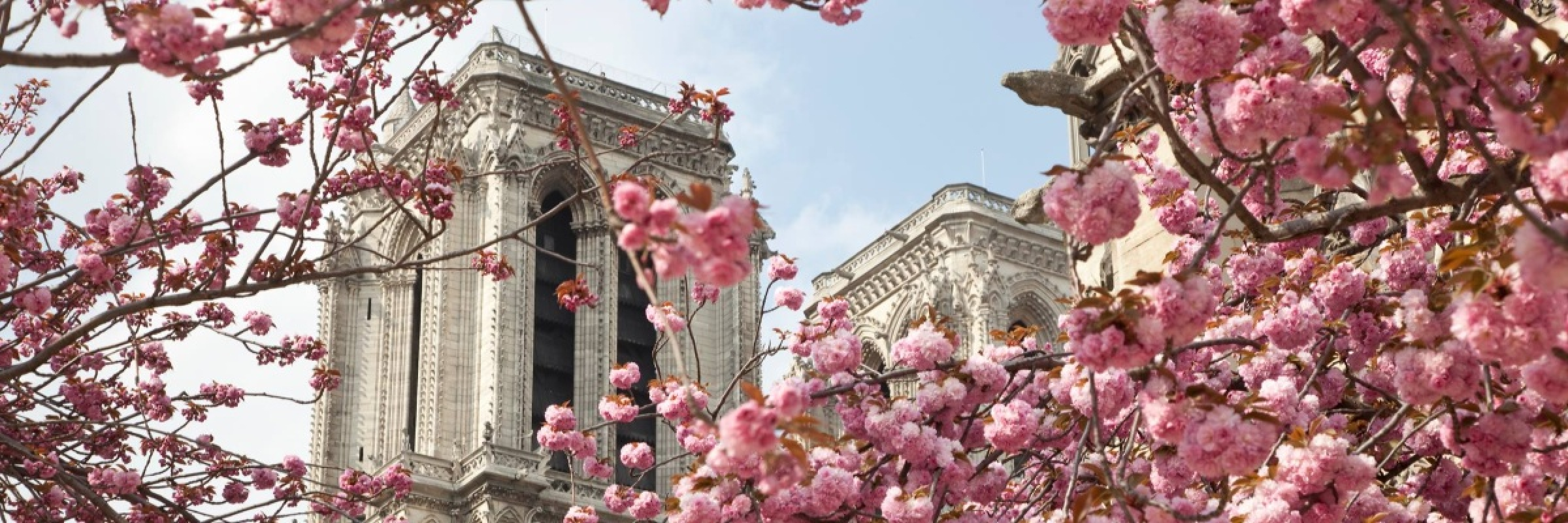 Image de Eglise mère de l'Archidiocèse de Paris