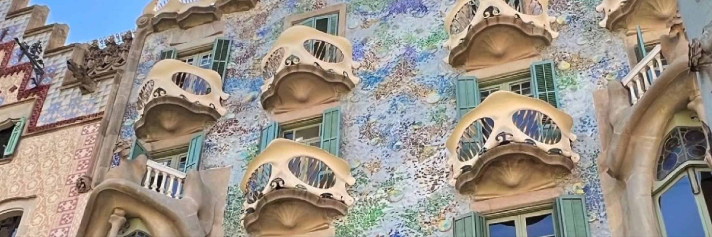 Image de Une expérience immersive unique
