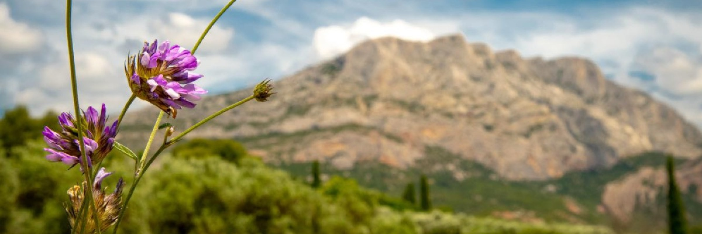 Image de Une toile d'impressions heureuses