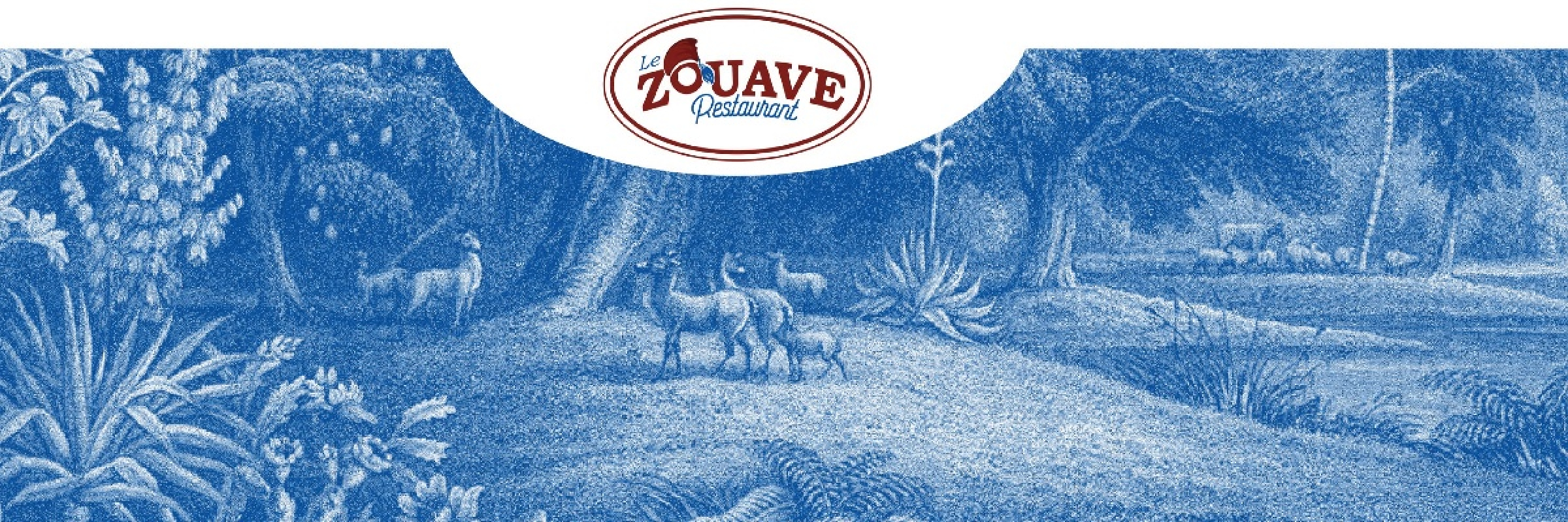 Image de Saveurs provençales authentiques !