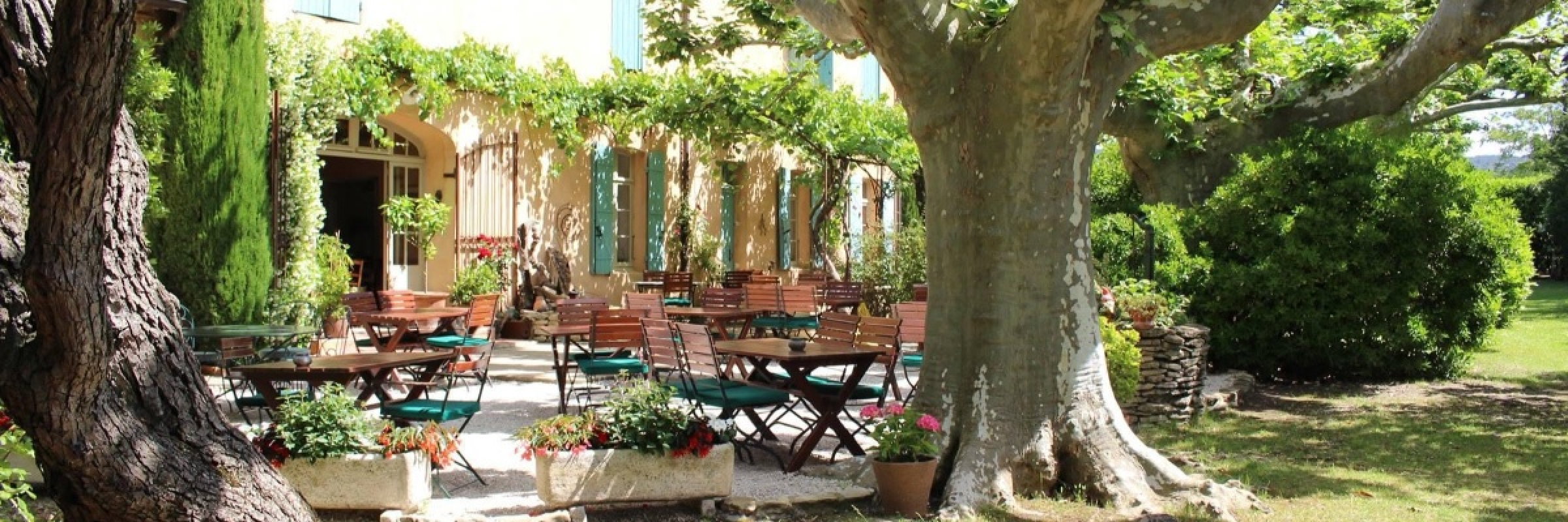 Image de Charme provençal sous platanes bicentenaires