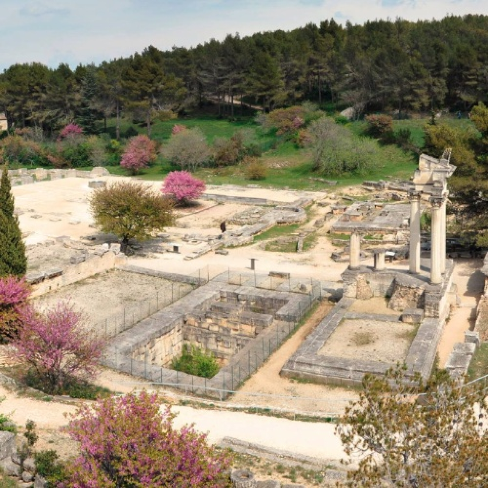 Un oppidum gaulois au cœur des Alpilles