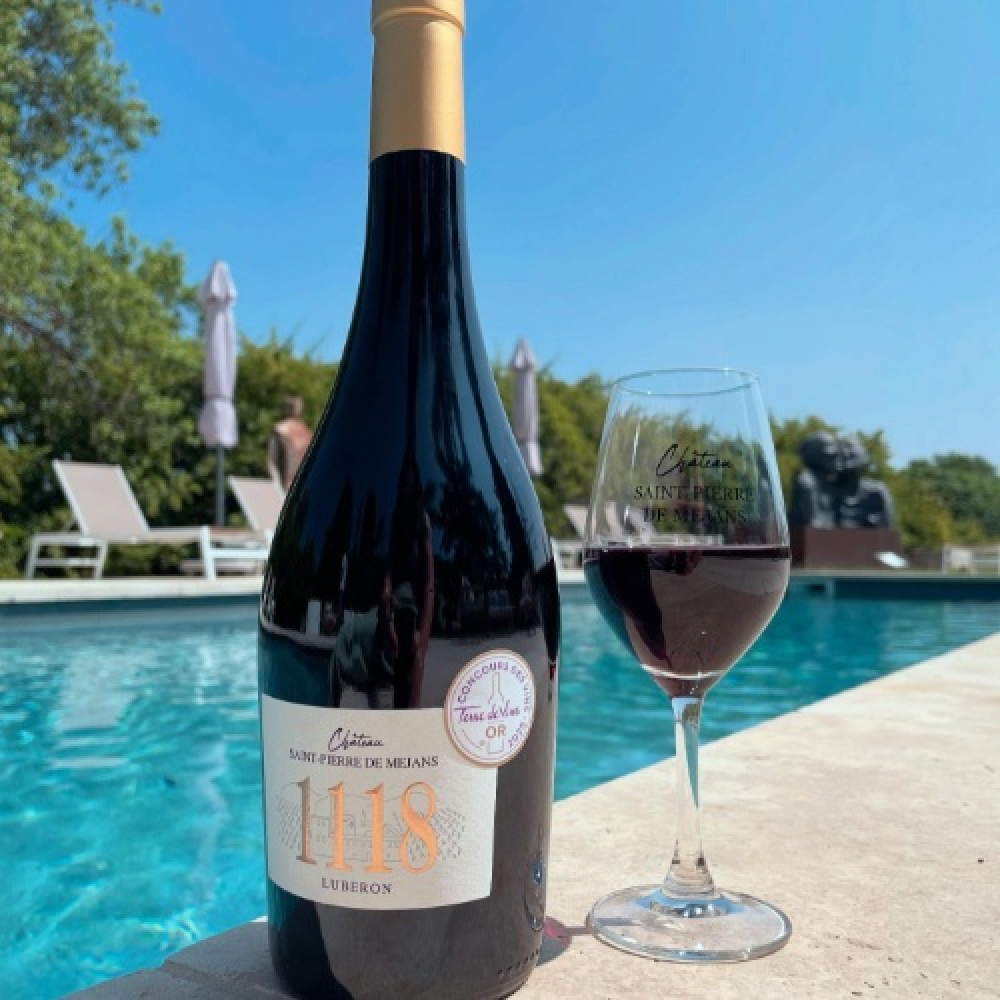 Un voyage inédit dans un vignoble