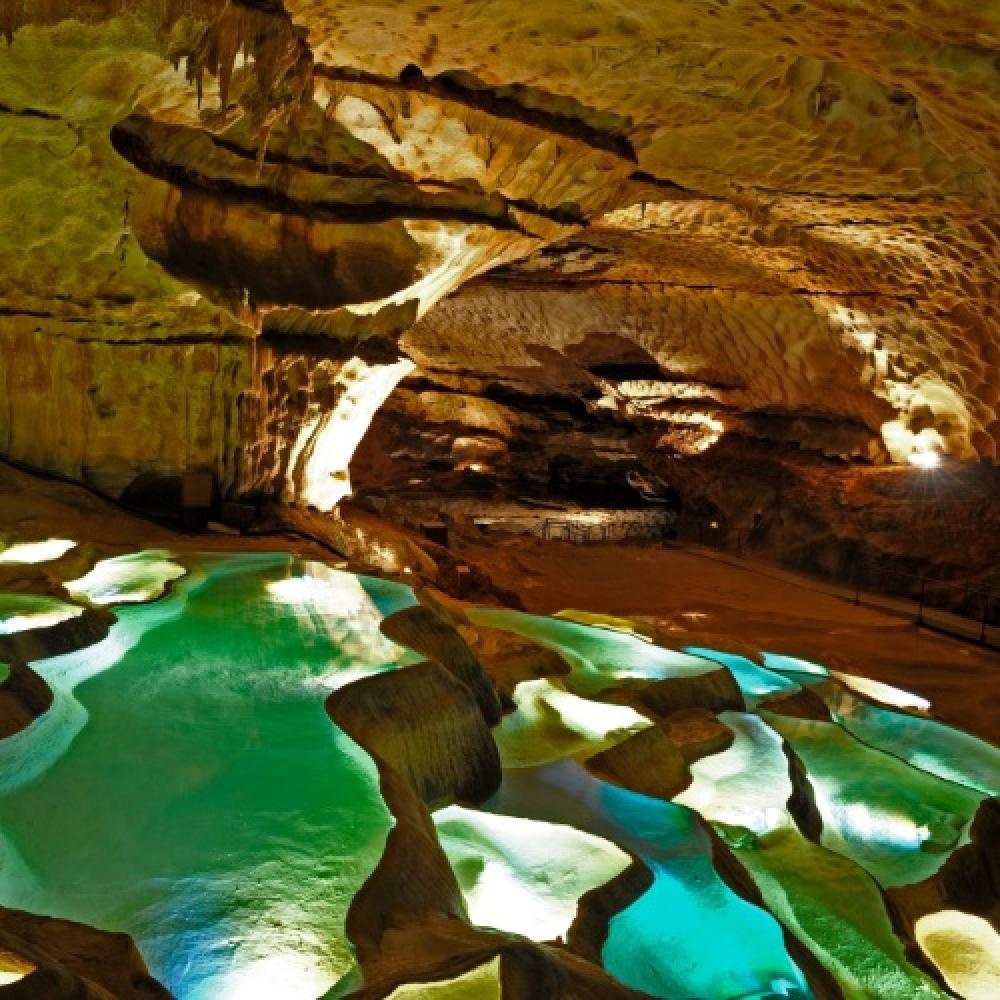 Un monde secret sous vos pas…