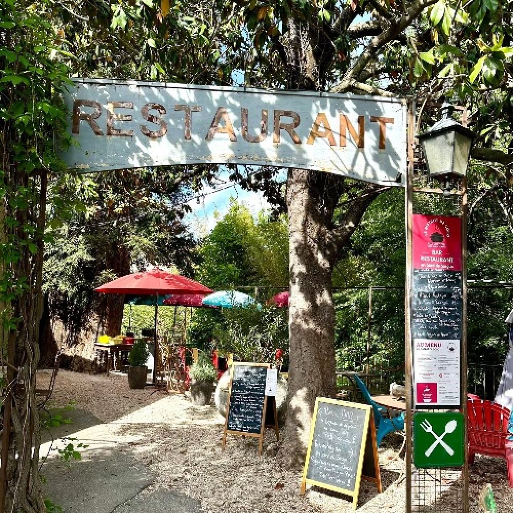 Cocottes savoureuses en bord Sorgue