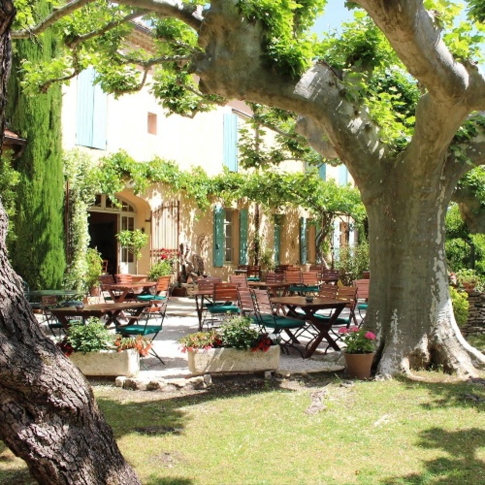 Charme provençal sous platanes bicentenaires